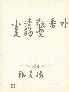 小清欢番外篇完美的爱