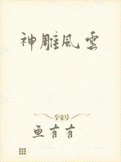 神雕风云