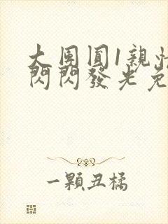 大团圆1亲情会闪闪发光免费