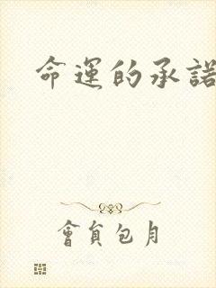 命运的承诺下载