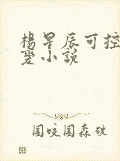 杨星辰可控核聚变小说