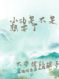 小sb是不是又想要了