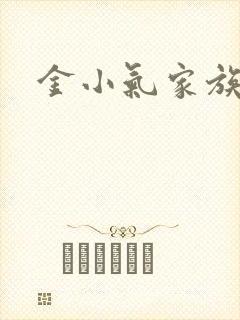 金小气家族小说