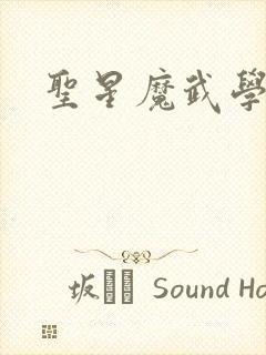 圣星魔武学院