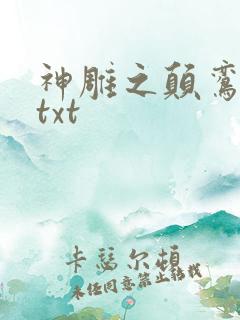 神雕之颠鸾倒凤txt