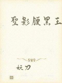 圣影腹黑王子帮