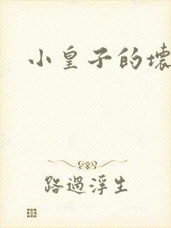 小皇子的坏王妃