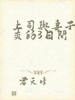 上司与妻子干到爽的3日间