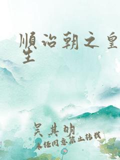 顺治朝之皇后重生