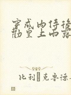 穿成内侍后总在劝皇上雨露均沾