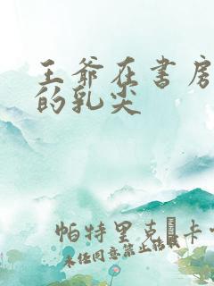 王爷在书房含她的乳尖