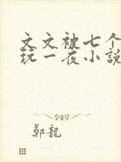 文文被七个男人玩一夜小说