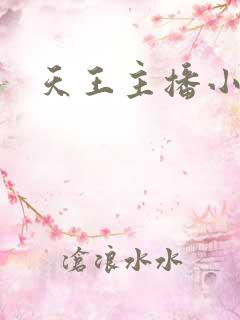 天王主播小说