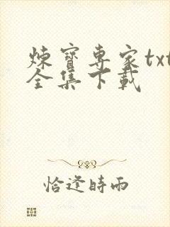 炼宝专家txt全集下载