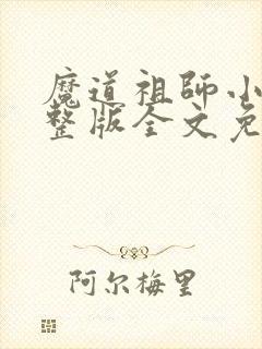 魔道祖师小说完整版全文免费阅读