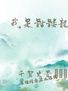 我是骷髅龙骑兵