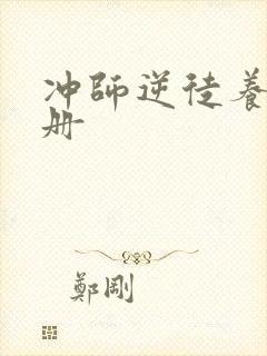 冲师逆徒养成手册