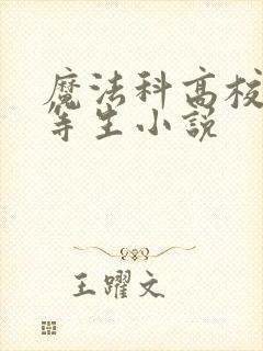 魔法科高校的劣等生小说