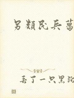 另类民兵葛二蛋