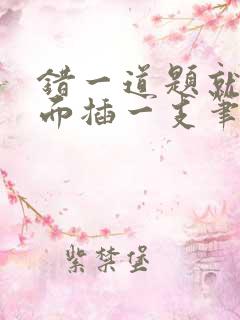 错一道题就往下面插一支笔怎么办