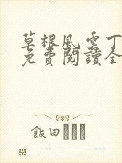 草根风云丁长生免费阅读全本