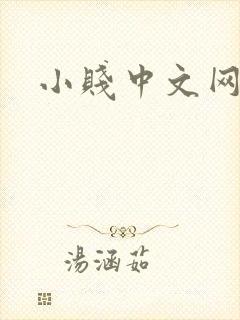 小贱中文网
