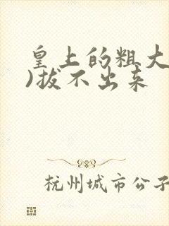 皇上的粗大(h)拔不出来