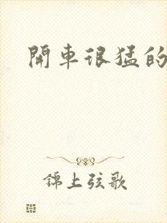 开车很猛的古文