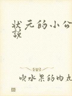 状元的小公主小说