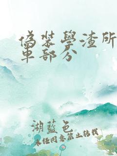 伪装学渣所有开车部分