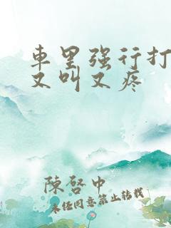 车里强行打扑克又叫又疼