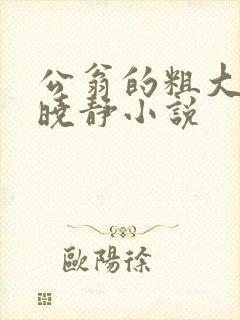 公翁的粗大放进晓静小说