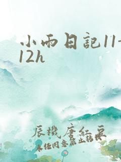 小雨日记11-12h