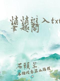 悄悄进入txt笔趣阁