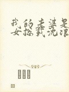 我的老婆是冰山女总载沈浪