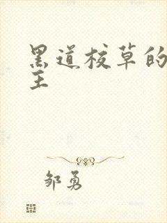 黑道校草的冷公主