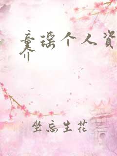 童瑶个人资料简介