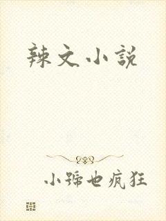 辣文小说