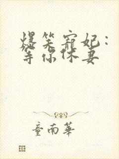 爆笑宠妃:爷我等你休妻