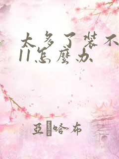 太多了装不下h11怎么办