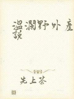 温澜野外产子小说