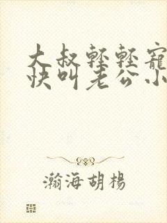 大叔轻轻宠宝贝快叫老公小说