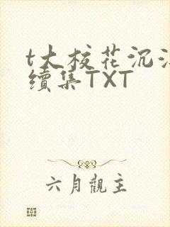 t大校花沉浮录续集TXT