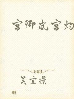 宫卿岚宫灼小说