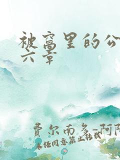 被窝里的公息十六章