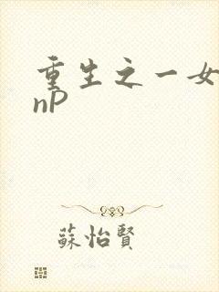重生之一女九龙nP