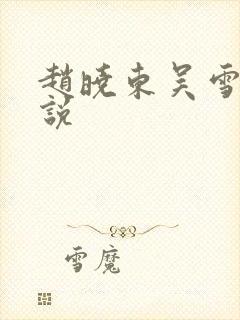 赵晓东吴雪晴小说