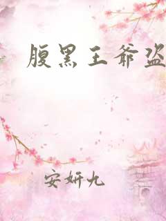 腹黑王爷盗墓妃