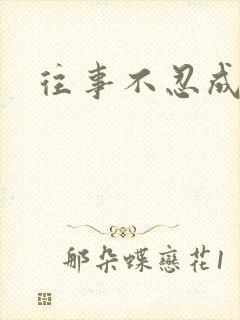 往事不忍成历史