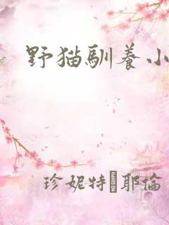 野猫驯养小说